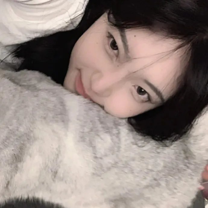 十二猴子